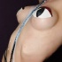 alice_in_wonderland_apr24-113