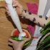 alice_in_wonderland_apr24-152
