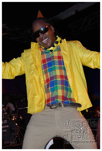 amnesia_2010-065