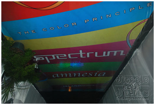 amnesia_2010-069