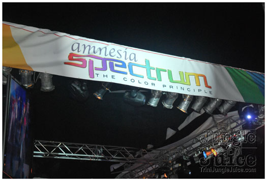 amnesia_2010-084