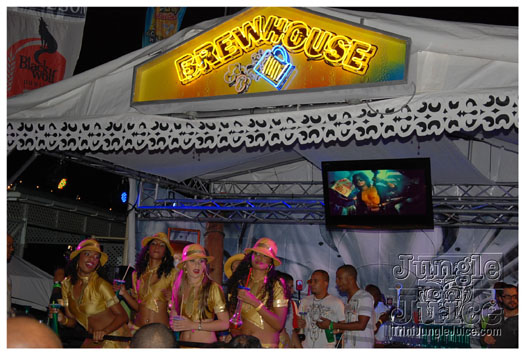 amnesia_2010-102
