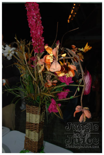amnesia_2010-140