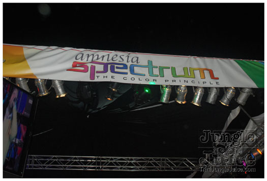 amnesia_2010-320
