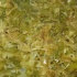 amnesia_2010-104