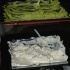 amnesia_2010-139