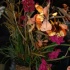 amnesia_2010-140