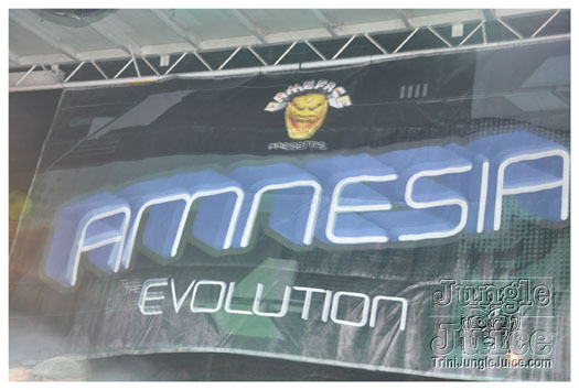 amnesia_ny_2010_sep5-178
