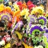 bacchanal_mas_2010-079