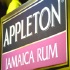 bachanal_jouvert_2010_pt1-039