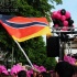 berlin_carnival_fantastic_flamingos_may23-099