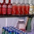 bishops_2010-126