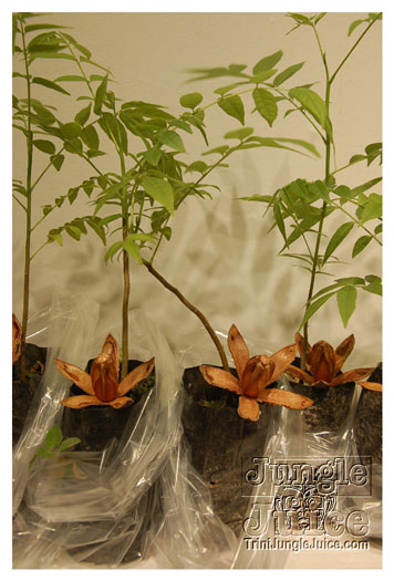 black_gold_oct8-012
