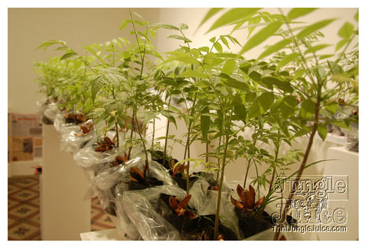 black_gold_oct8-056