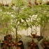 black_gold_oct8-011