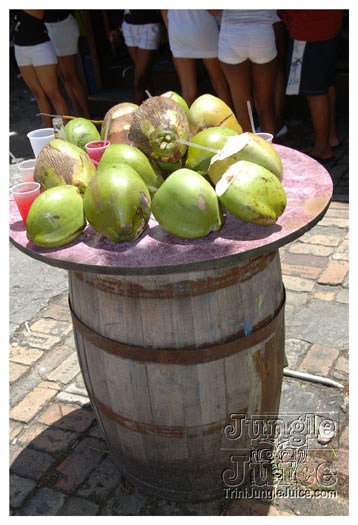 booze_cruise_2010_pt1-079
