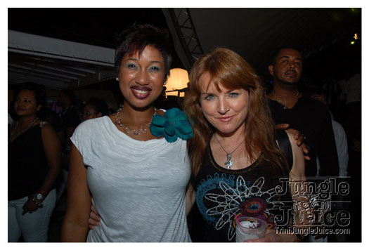 brian_mcfarlane_launch_2011-138