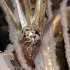 brian_mcfarlane_launch_2011-060