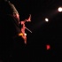 capleton_coconuts_oct24-025