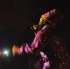 capleton_coconuts_oct24-051