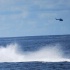 carib_great_race_2010-050