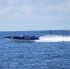 carib_great_race_2010-062