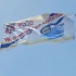 carib_great_race_2010-081