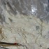cart_sept4-081