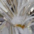 cayman_carnival_batabano_2010_pt2-164