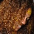 cocoa_devils_2010_part2-049