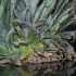 cruz_cocktail_aug1-022