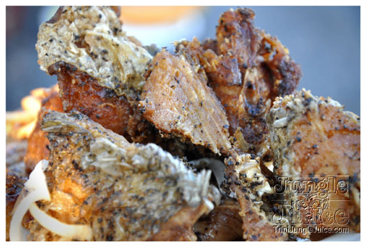 dc_carnival_2010_pt1-187