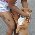 dc_carnival_2010_pt2-027