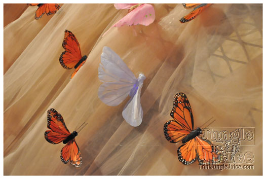 flutter_july25-100