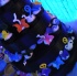 flutter_july25-083
