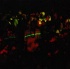 funky_monkey_aug6-053