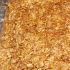 glow_touch_of_orange_may29-006