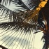 08_ramada_grand_cayman_resort-011