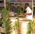 grenada_pantastic_sat_aug7-019