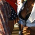 gyal_farm_2010_jul4-039