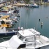 harbour_lights_cruise_july25-002