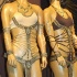 harts_band_launch_2011-009