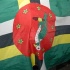 houston_jouvert_jul2-089