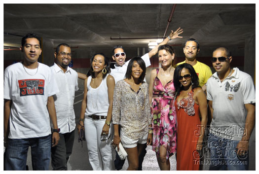 indigo_2010-007
