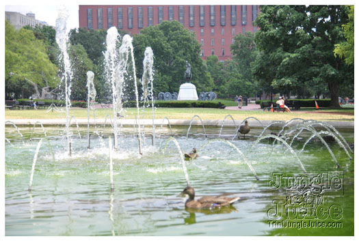 indigo_2010-008