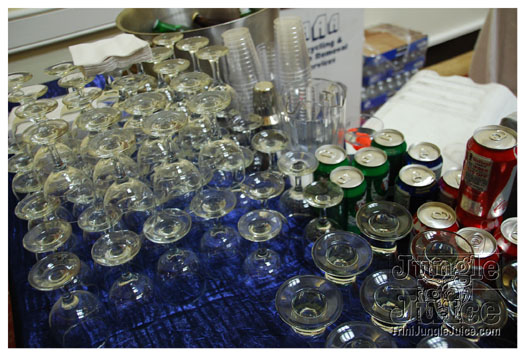 indigo_2010-067