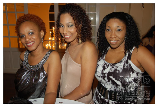 islandpeople_band_launch_2011-102