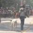 labor_day_ny_2010-159