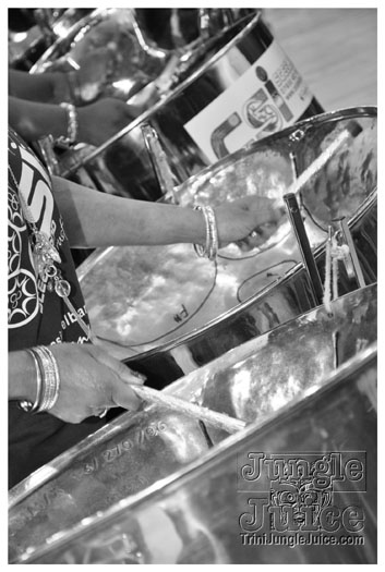 luton_carnival_2010-237
