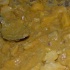 mirage_feb6-065